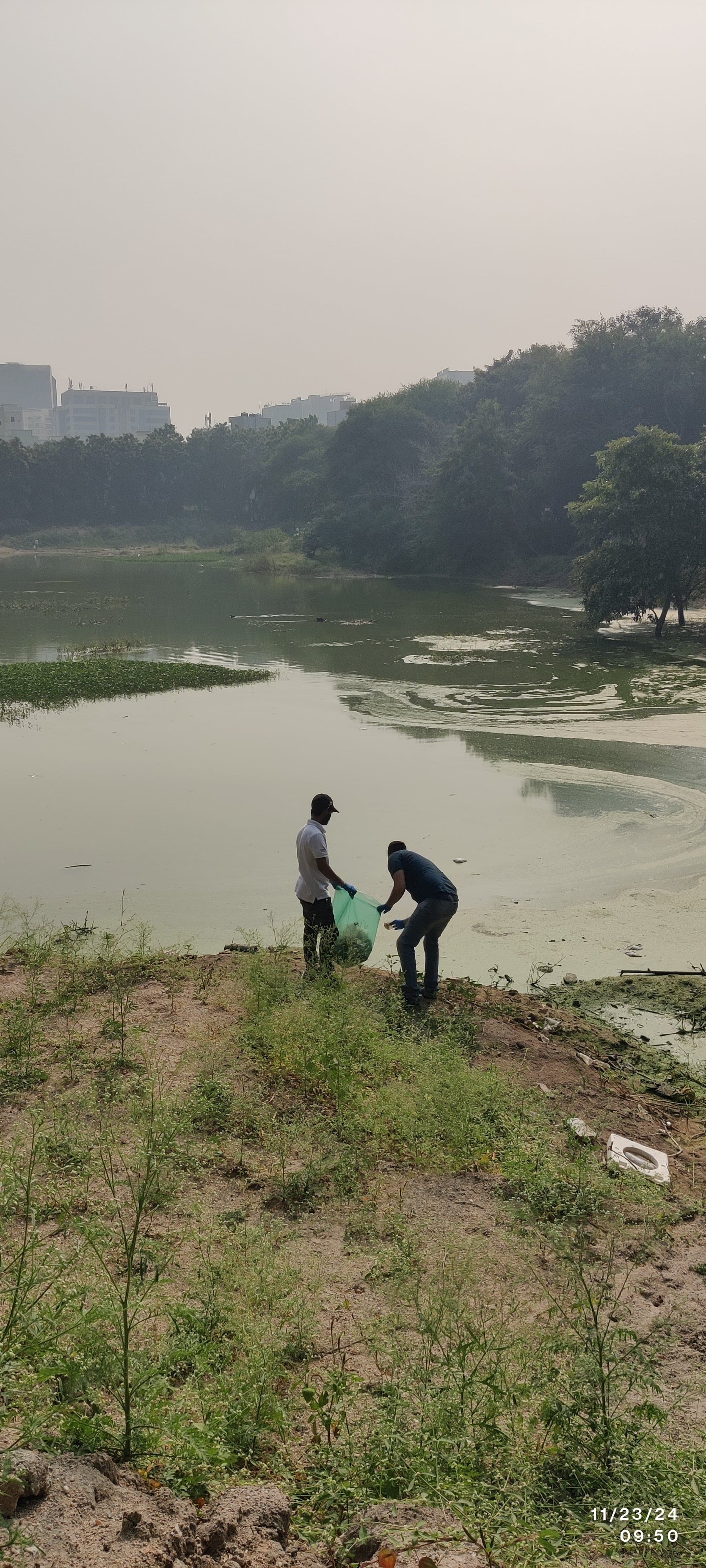 Rural Lake