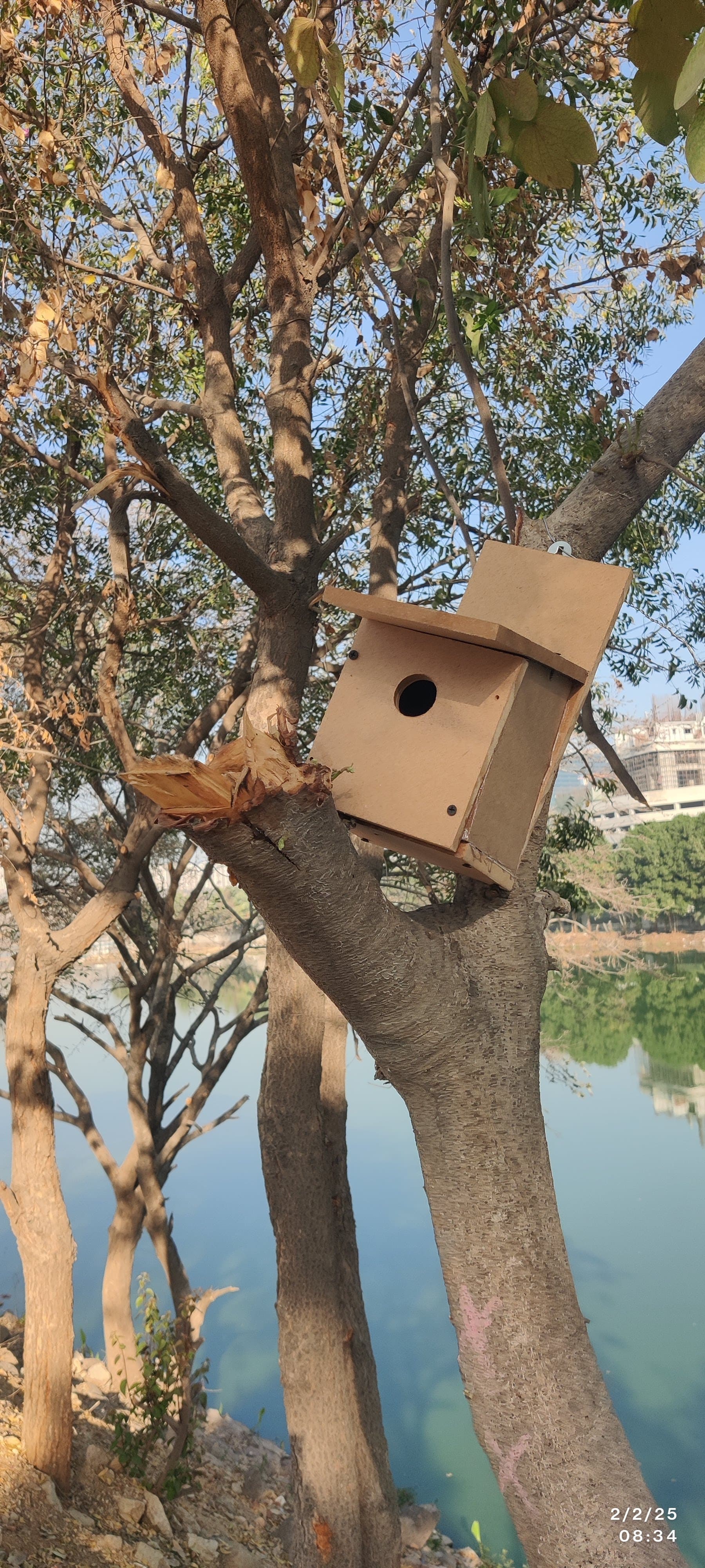 Nest Installation