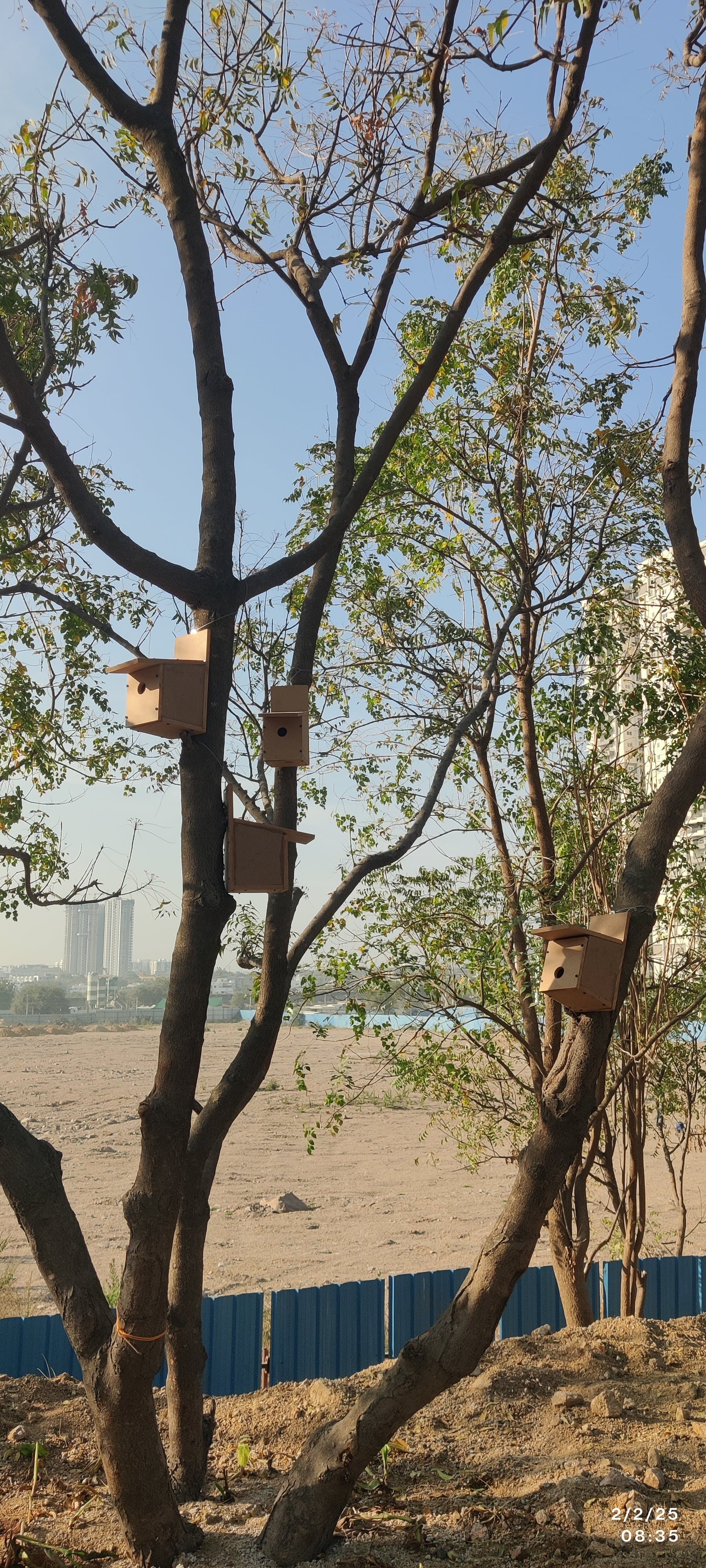 Nest Installation Drive